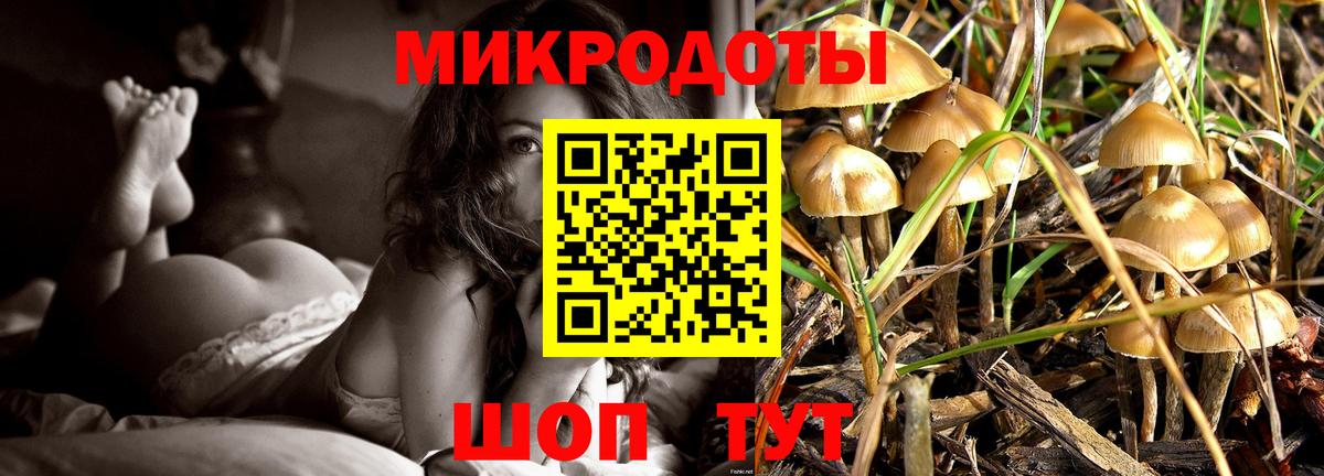 Псилоцибиновые грибы мицелий  Вход с VPN  Дальнереченск  наркота  Галлюциногенные грибы мицелий 